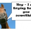 Your horse maybe trying to tell you something