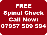 Free Spinal Check