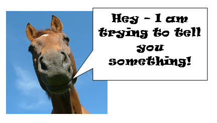 horse-telling-you-something